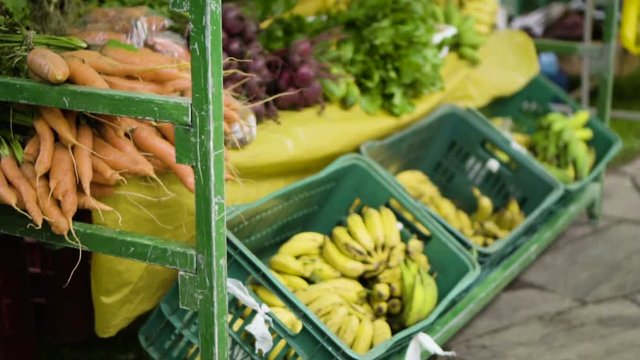 Vegetais e Plantas comest&iacute;veis