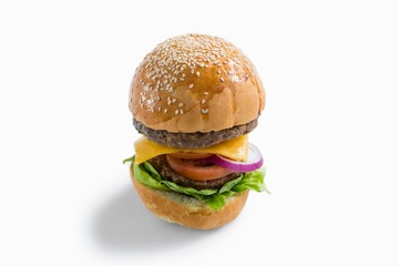 High angle view of hamburger with vegetables and cheese