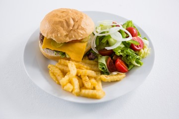 Burger with salad and French fries in plate