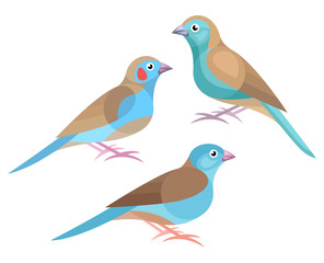 Stylized Birds - Blue Waxbill, Red-cheeked Cordon-bleu, Blue-capped Cordon-bleu