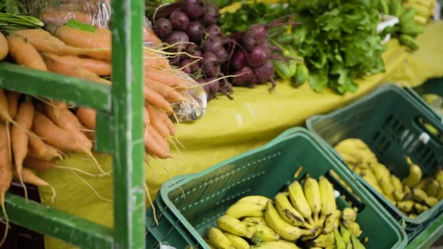 Vegetais e Plantas comest&iacute;veis