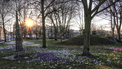 Obraz premium Denmark