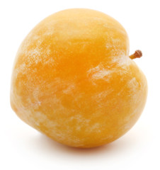 Single plum