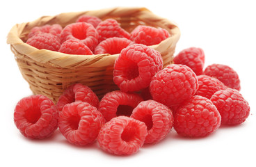 Fresh Raspberry in a basket
