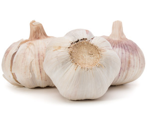 Garlic bulb isolated on white background cutout