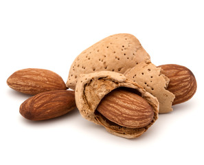 Almond nut in shell and shelled isolated on white background close up