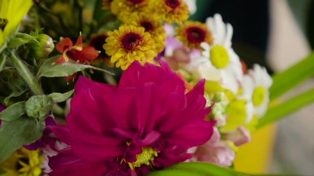 Vegetais e Plantas comest&iacute;veis