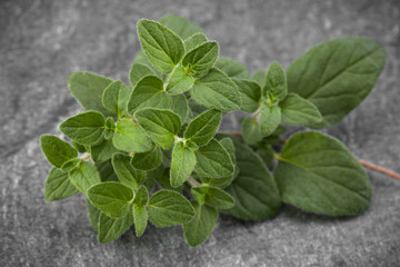 Oregano leaves over black stone background. Top view.