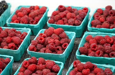 Fresh raspberry in the container boxes