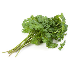 parsley leaves bunch isolated on white background cutout