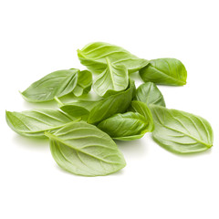 Sweet basil herb leaves handful isolated on white background closeup