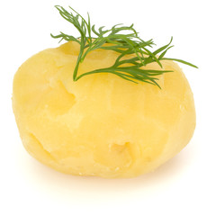 Naklejka na ściany i meble one boiled peeled potato with dill isolated on white background cutout