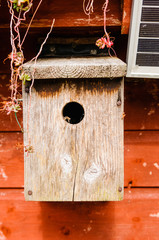 Small hole wooden bird nesting box suitable for Blue Tit, Great Tit, Coal Tit, Tree Sparrow and Pied Flycatcher