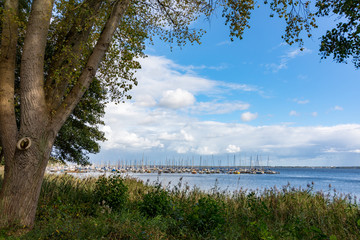 Bootsanleger mit Segelbooten am Ufer des Steinhuder Meeres in Mardorf