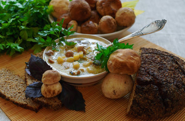 Homemade soup with mushrooms and sour cream, on the table.