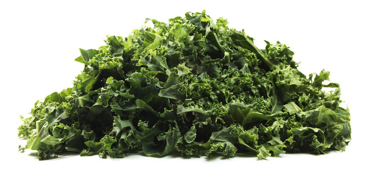 Isolated Kale

