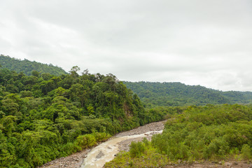 Fototapeta na wymiar Small almost dry river in Costa Rica