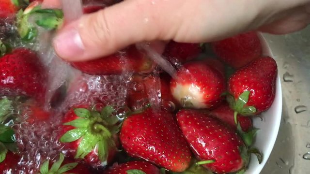 Washing strawberries in metal strainer inside kitchen sink Beautiful ripe strawberries wash in a glass bowl, video clip ; Strawberries washed fresh testi berry authentic motion booble water