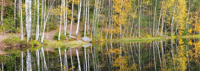 Colorful autumn forest at lake shore