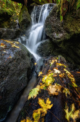 A Small Waterfall in the Mountains of California