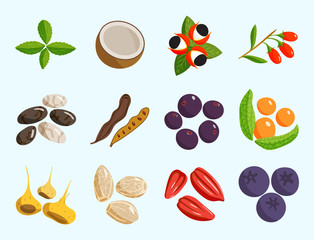 Vegetarian food healthy vegetable and fruits restaurant dishes cartoon berry vector.