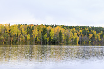 Colorful autumn forest at lake shore