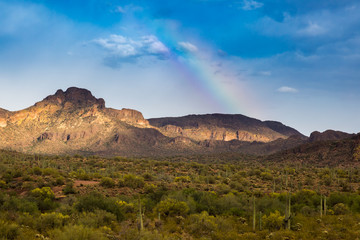 Wave Cave in The Superstition Mountains.