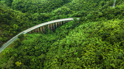 An aerial view of  Road or bridge is in the middle of a forest
