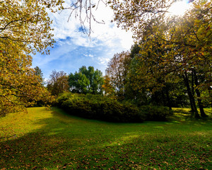 Naklejka premium Woods in Autumn