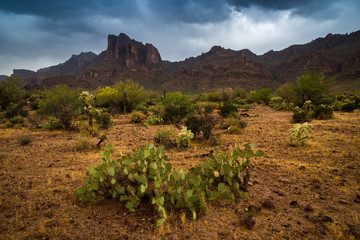 Wave Cave in The Superstition Mountains.