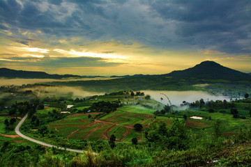 Mountains with trees and fog in thailand