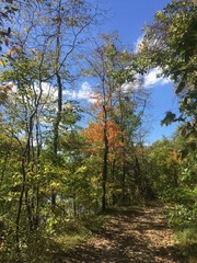Fototapeta na wymiar hiking trail with fall foliage