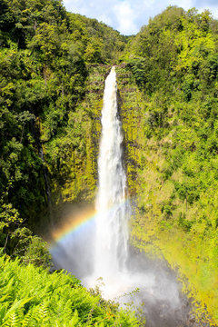 USA, Hawaii, Pepeekeo, Hawaiis wundersch&ouml;ne Natur und ihre Eindr&uuml;cke