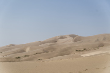 Sand Dune