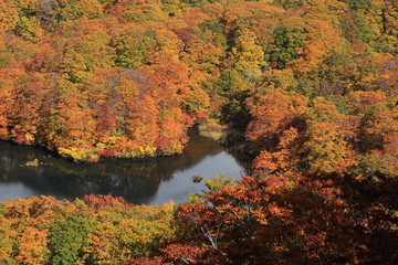 Fototapeta na wymiar 紅葉の鶴間池　Tsuruma pond in autumn / Mt.Chokai, Yamagata, Japan