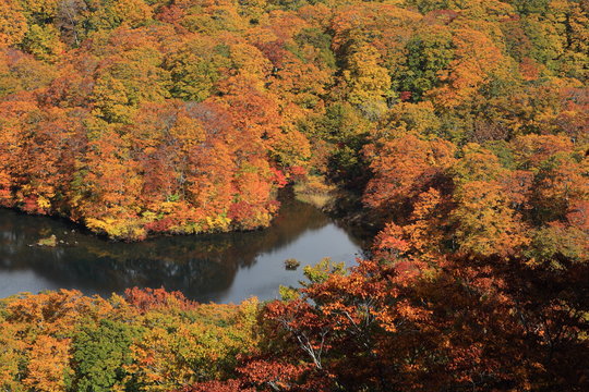 紅葉の鶴間池　Tsuruma pond in autumn / Mt.Chokai, Yamagata, Japan