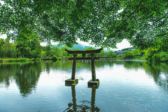 16 Best 心落ち着く Images Stock Photos Vectors Adobe Stock