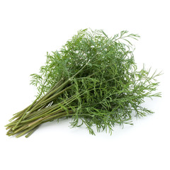 fresh green dill herb leaves bunch isolated on white background cutout