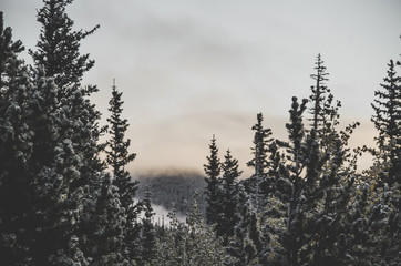 Backpacking in the Indians Peaks Wilderness