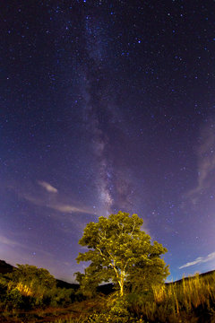 milky way rise over tree Long exposure noise most commonly manifests itself as bright.