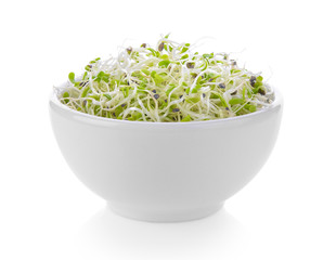 Alfalfa Sprout in a bowl on white background