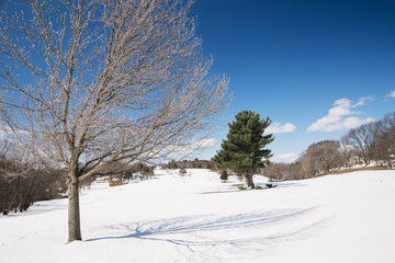 Fototapeta na wymiar snow-covered park on a sunny day. golf fields under the snow. Copy space for your text