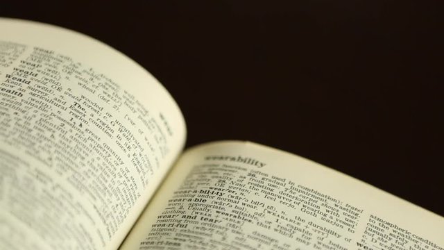 Large Dictionary Defines Wealth