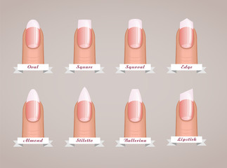 Professional manicure different shapes of nails vector © shooarts