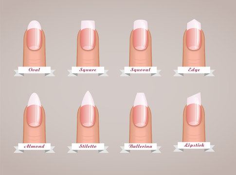 Professional manicure different shapes of nails vector