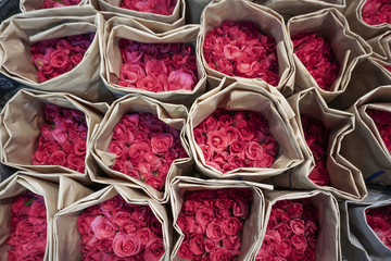Pink roses at the market