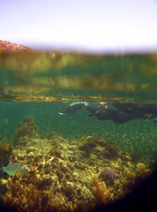 Fototapeta premium snorkelling