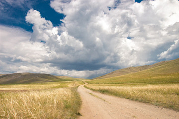 Fototapeta premium Road to a beautiful field