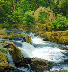 Salmon leap and old mill at Cenarth Falls on the river Teifi, Wales, UK