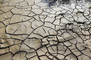 Climate warming dry chapped land